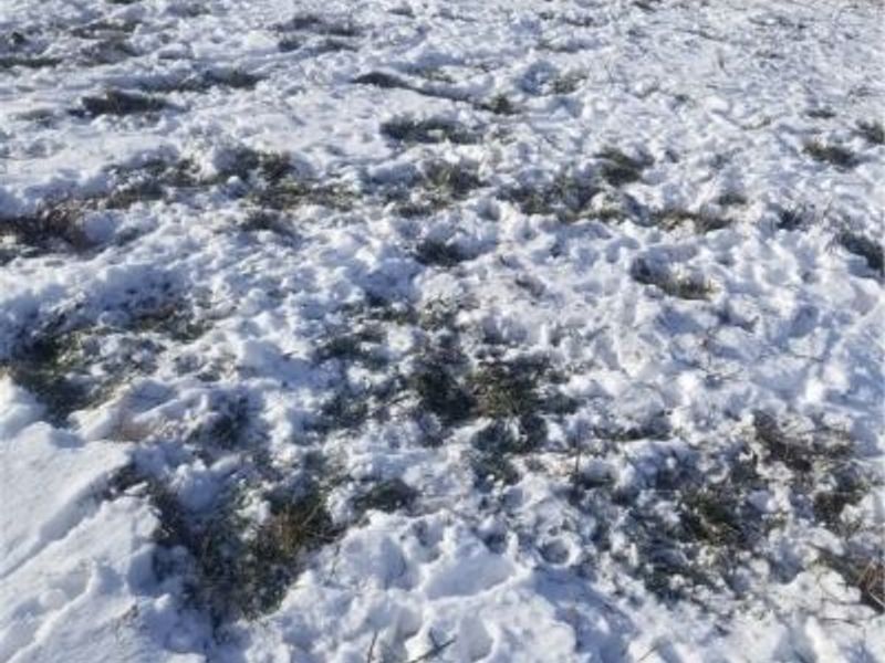 Lewis Road, Salineville, OH 43945 Photo 19