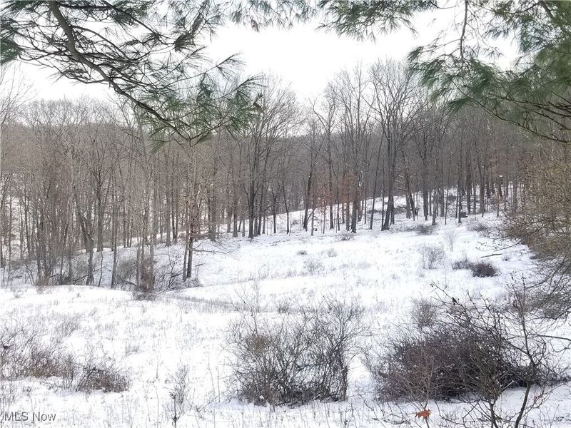 Lewis Road, Salineville, OH 43945 Photo 22