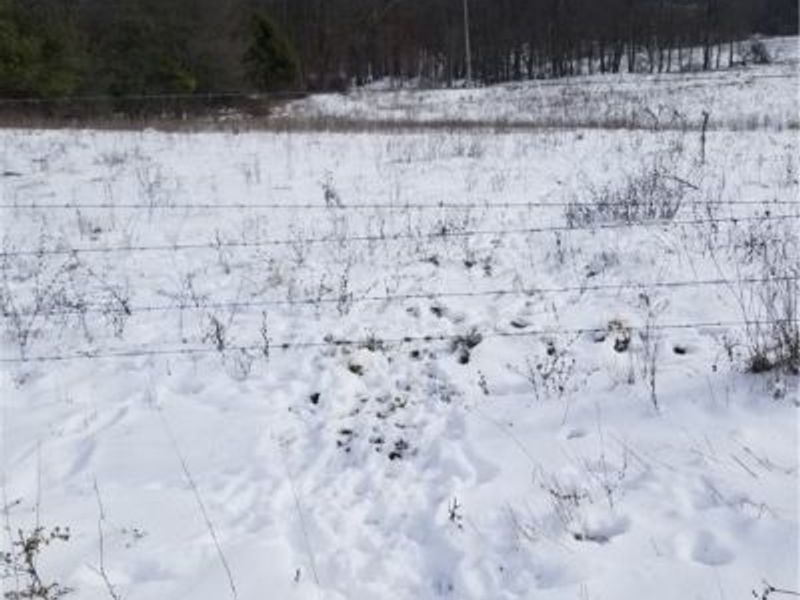 Lewis Road, Salineville, OH 43945 Photo 24