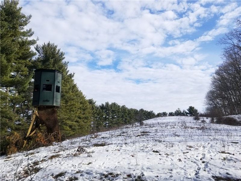 Lewis Road, Salineville, OH 43945 Photo 5