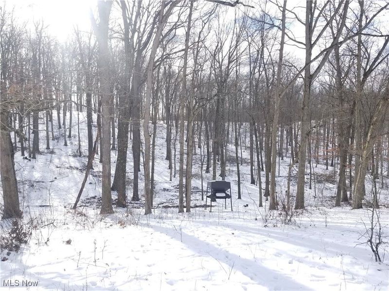 Lewis Road, Salineville, OH 43945 Photo 7