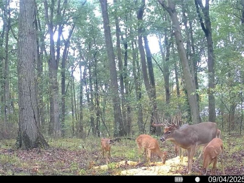 Lewis Road, Salineville, OH 43945 Photo 9