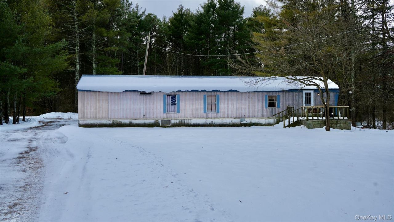 95 Pine Tree Lane, Cairo, NY 12413 Main Photo