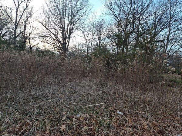 Pine Bluff, AR 71603