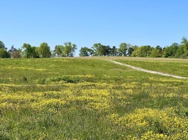 401 Appaloosa Trail, Unit Lot 17, Wilmore, KY 40390