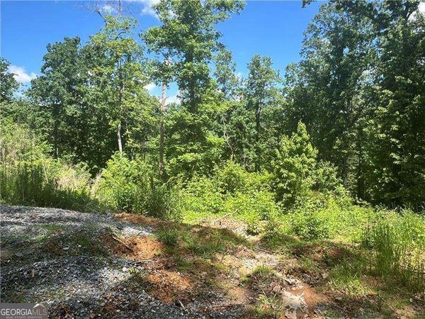 75 Hope Court, Ellijay, GA 30540