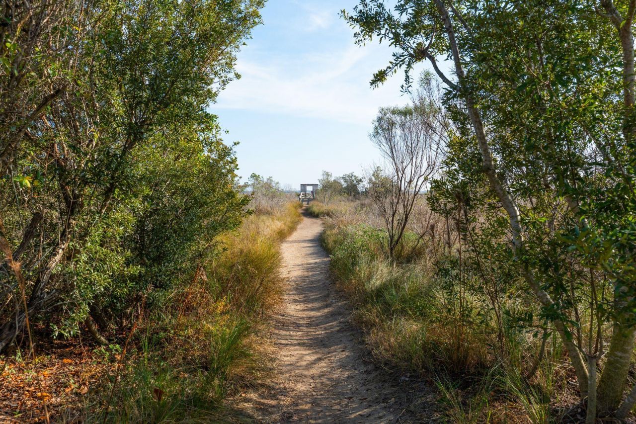 1472 Red Tide Road Photo 51