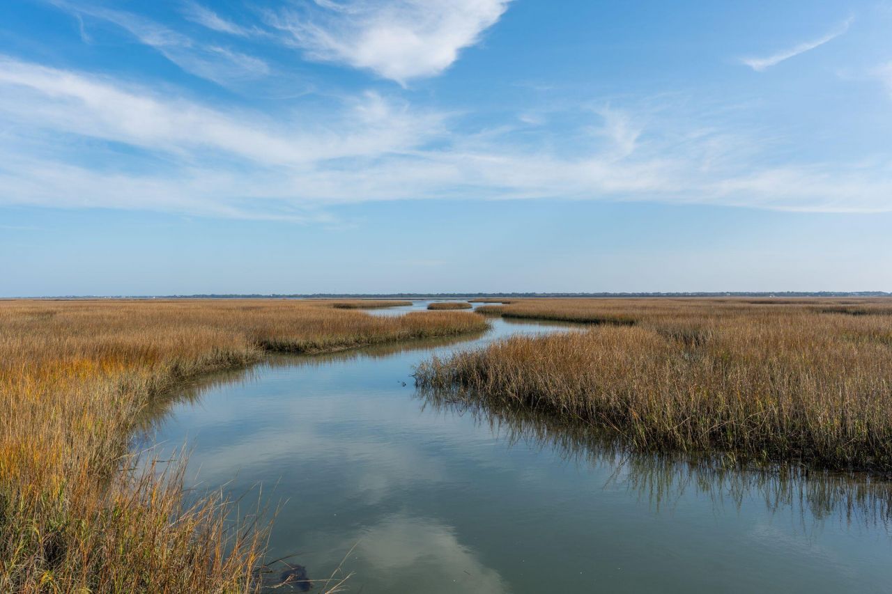 1472 Red Tide Road Photo 54