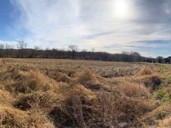 10301 Creekside Lane, BELVIDERE, IL 61008