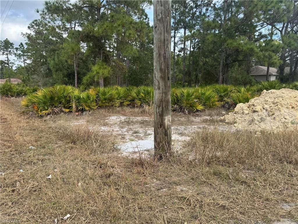 706 W 17th St, Lehigh Acres, FL 33972 Photo