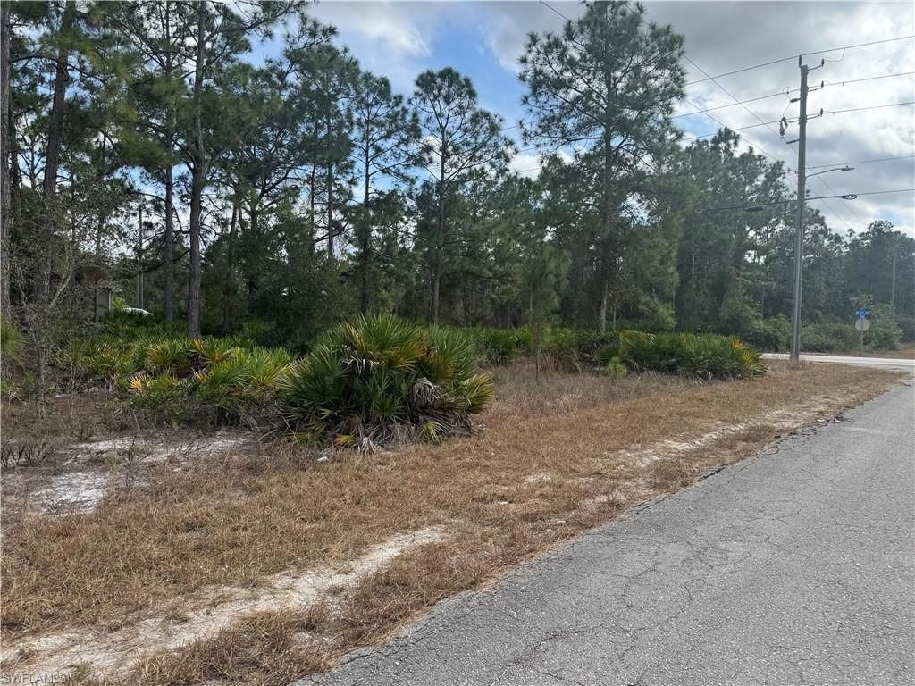 706 W 17th St, Lehigh Acres, FL 33972 Photo