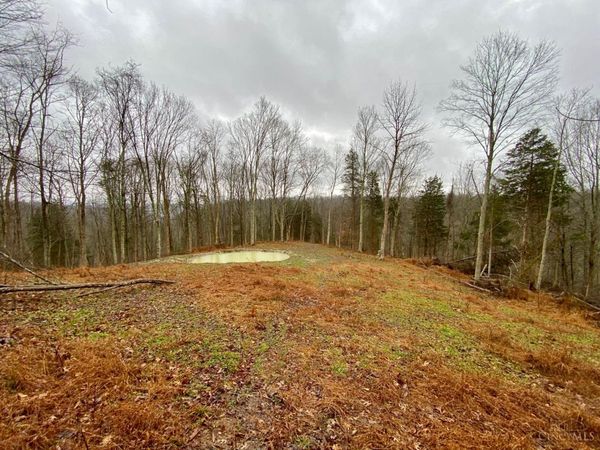 1334 Roush Hill Road, Manchester, OH 45144