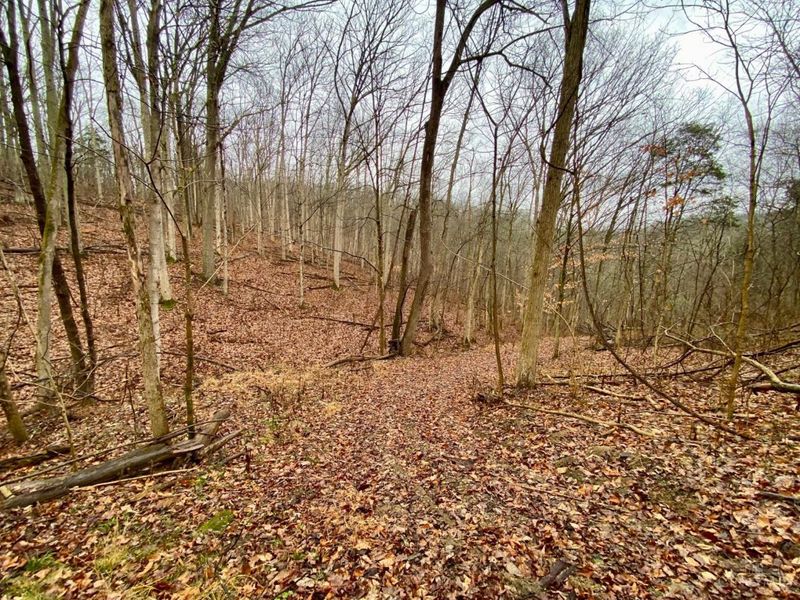 1334 Roush Hill Road, Manchester, OH 45144 Photo 10