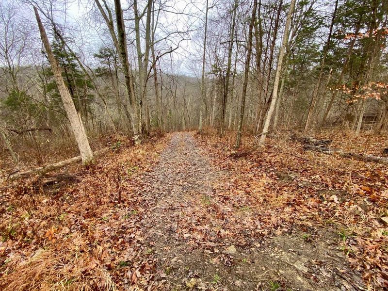 1334 Roush Hill Road, Manchester, OH 45144 Photo 12