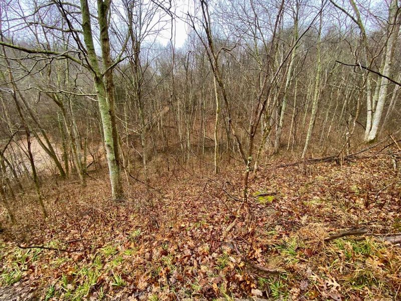 1334 Roush Hill Road, Manchester, OH 45144 Photo 14