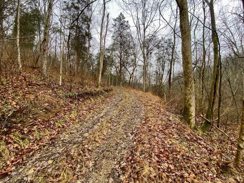 1334 Roush Hill Road, Manchester, OH 45144 Photo 15