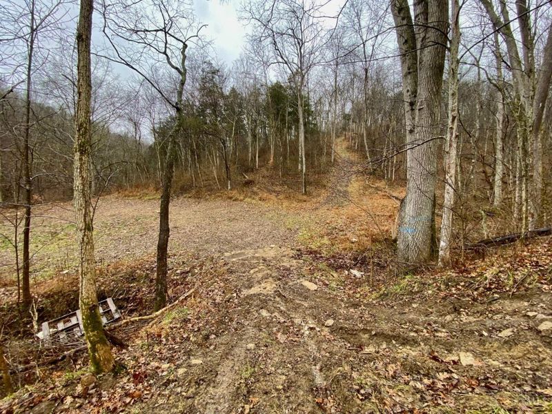 1334 Roush Hill Road, Manchester, OH 45144 Photo 16