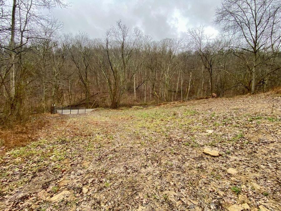 Property Image 18