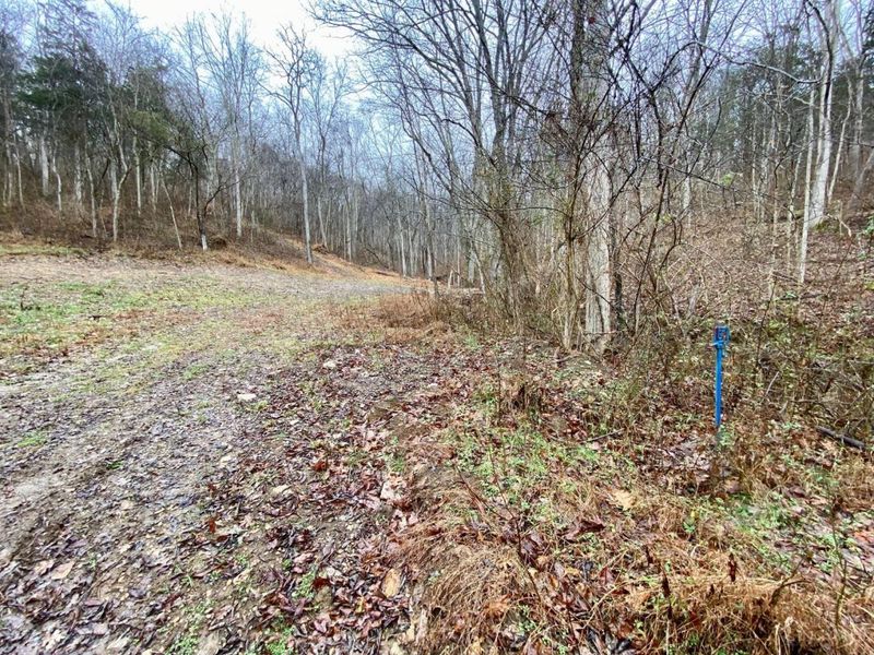 1334 Roush Hill Road, Manchester, OH 45144 Photo 19