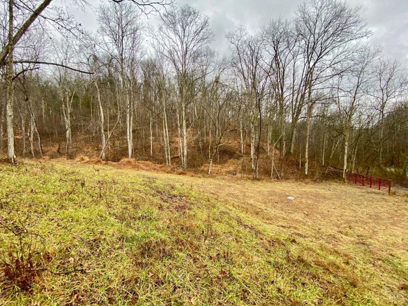 1334 Roush Hill Road, Manchester, OH 45144 Photo 3