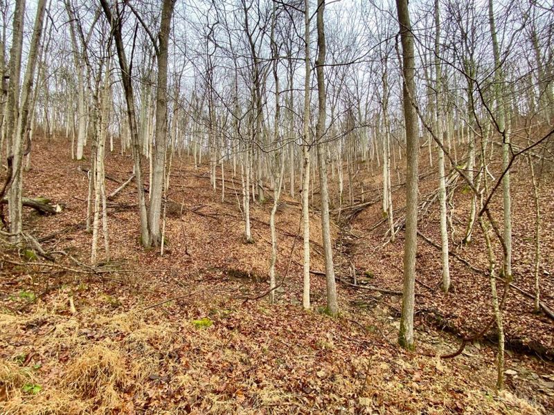 1334 Roush Hill Road, Manchester, OH 45144 Photo 7