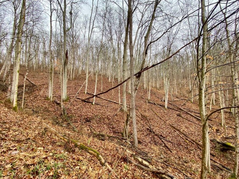 1334 Roush Hill Road, Manchester, OH 45144 Photo 8