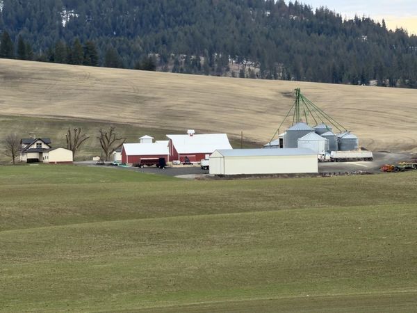 13102 S SR 27 Hwy, Mica, WA 99023