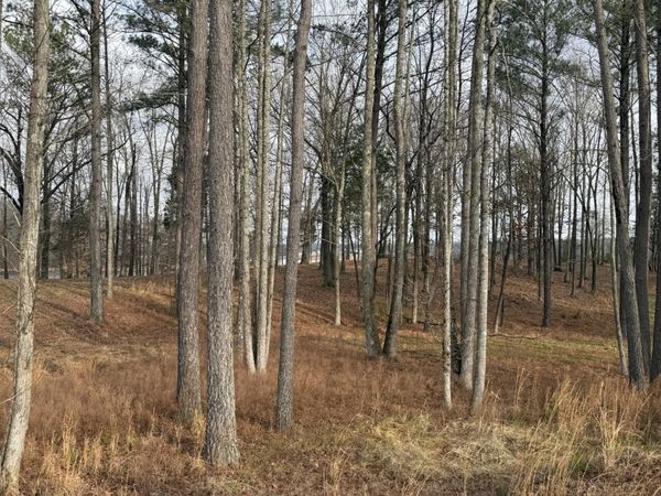 0 Stately Oak Dr, Unit 15, Huntingdon, TN 38344