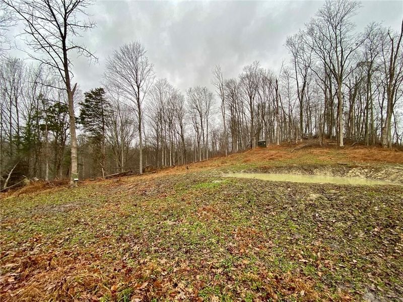 1334 Roush Hill Road, Manchester, OH 45144 Photo 10