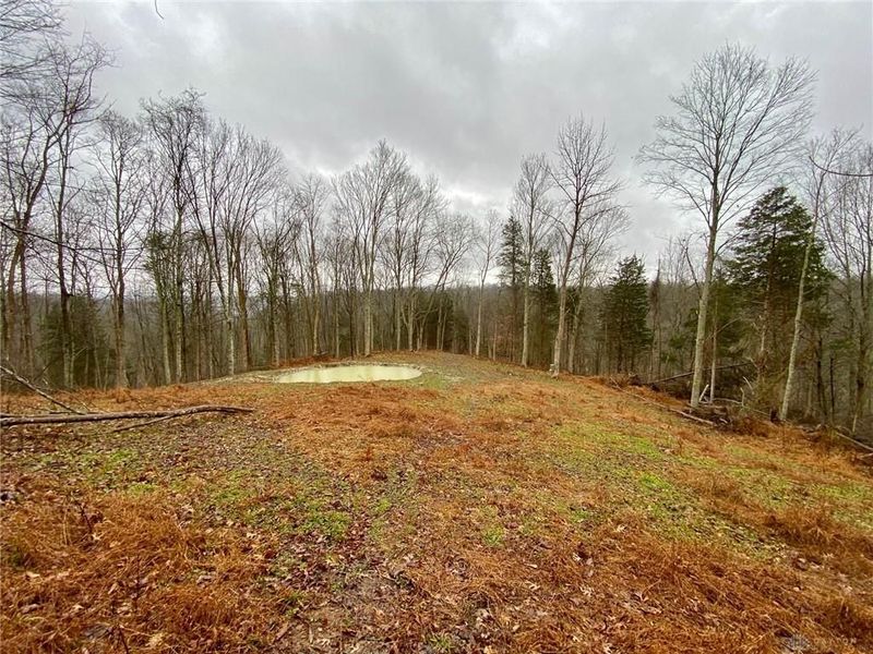 1334 Roush Hill Road, Manchester, OH 45144 Photo 11