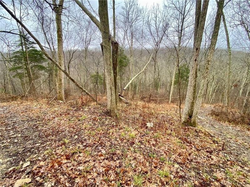 1334 Roush Hill Road, Manchester, OH 45144 Photo 13