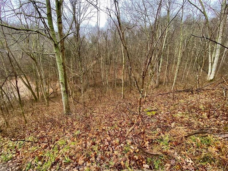 1334 Roush Hill Road, Manchester, OH 45144 Photo 14