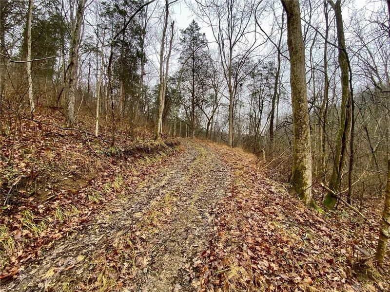 1334 Roush Hill Road, Manchester, OH 45144 Photo 15