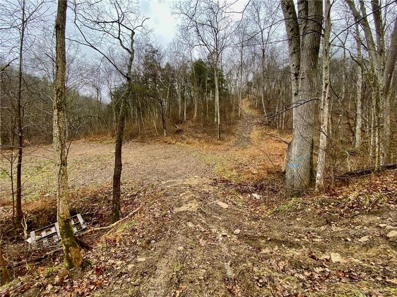 1334 Roush Hill Road, Manchester, OH 45144 Photo 16