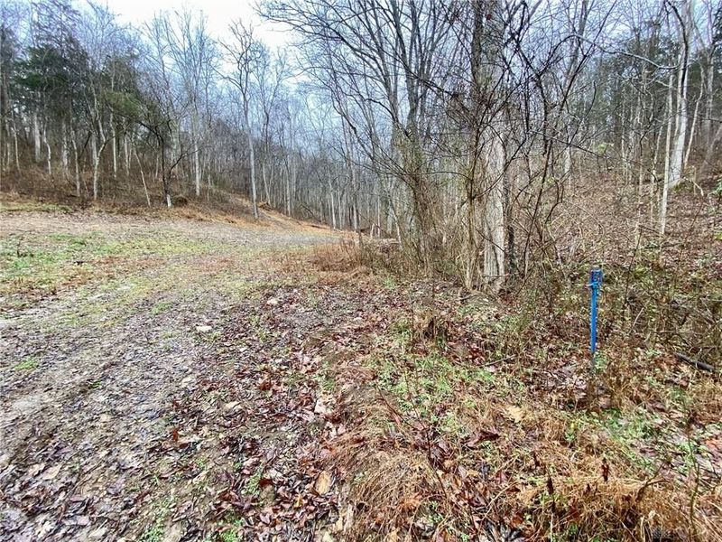 1334 Roush Hill Road, Manchester, OH 45144 Photo 18