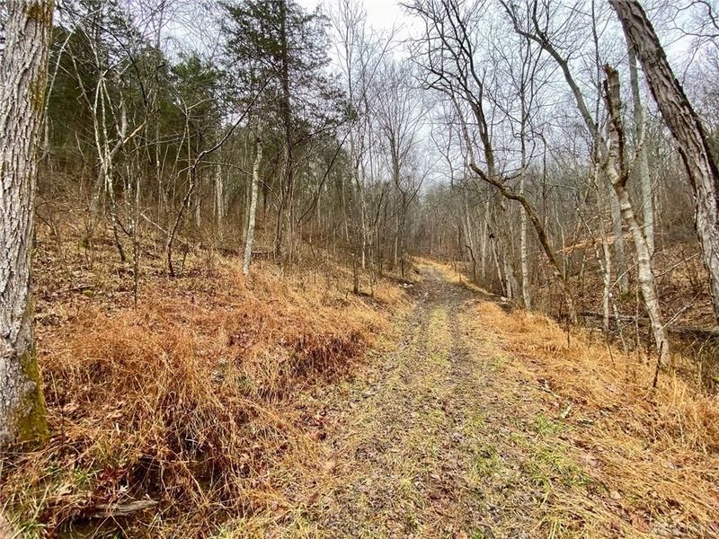 1334 Roush Hill Road, Manchester, OH 45144 Photo 3