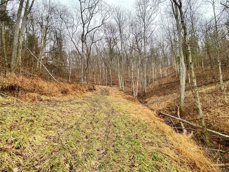 1334 Roush Hill Road, Manchester, OH 45144 Photo 4