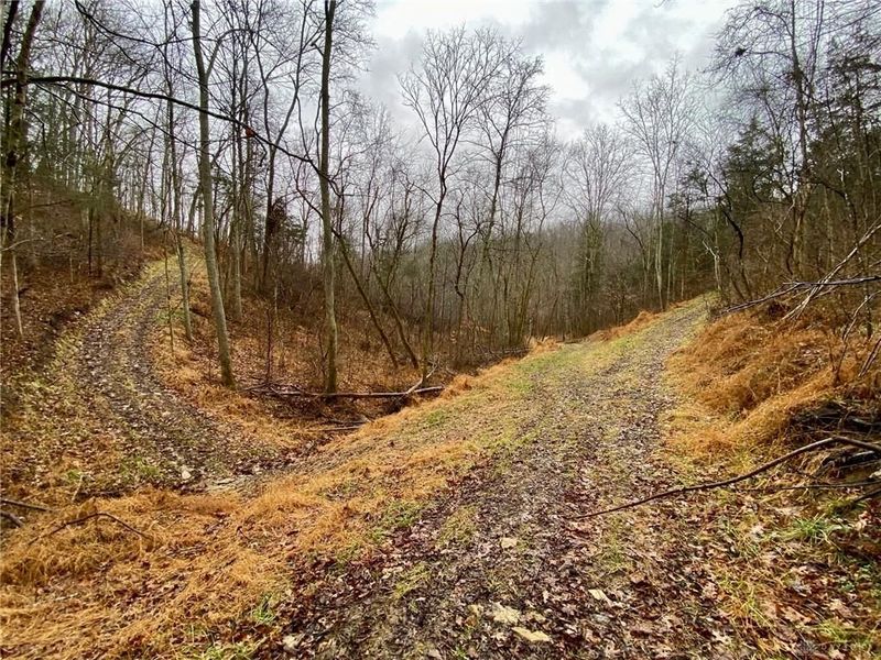 1334 Roush Hill Road, Manchester, OH 45144 Photo 5