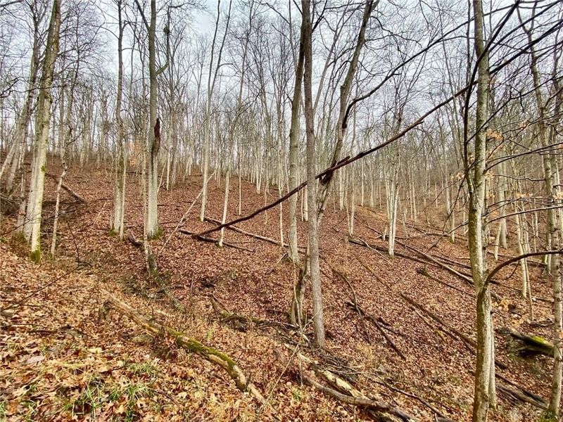 1334 Roush Hill Road, Manchester, OH 45144 Photo 7