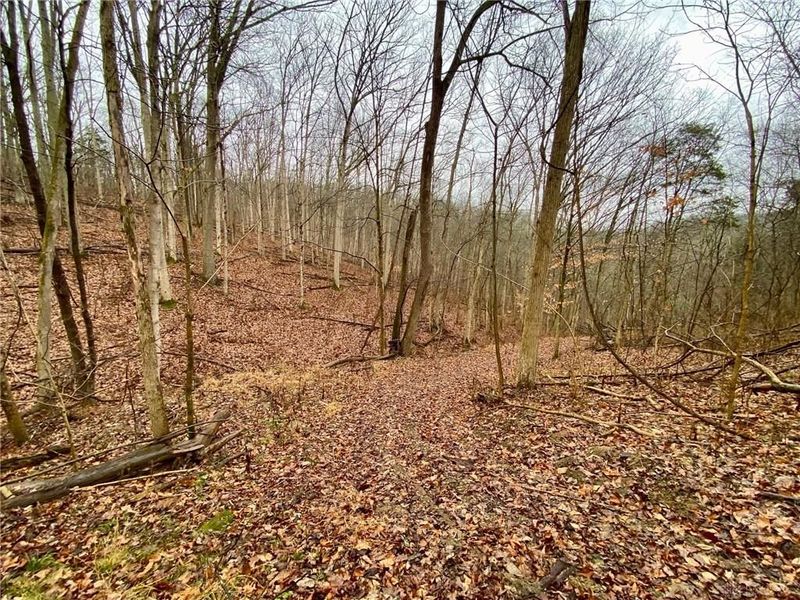 1334 Roush Hill Road, Manchester, OH 45144 Photo 9