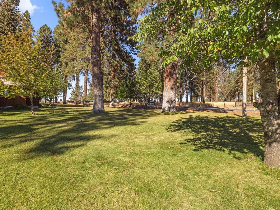Property Image 97
