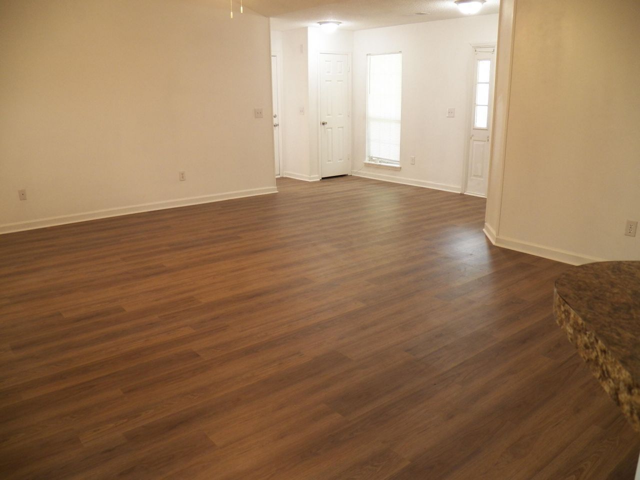 8382 Water Ash Way Photo 4