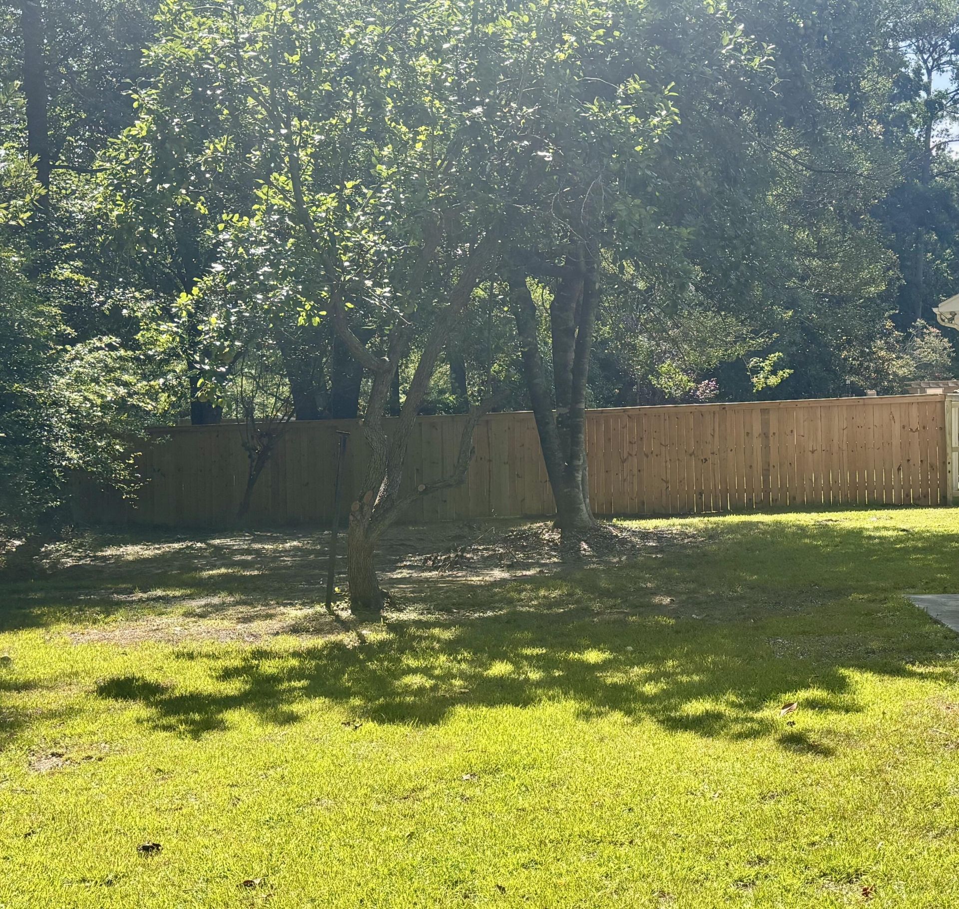305 Mayfield Street Photo 49