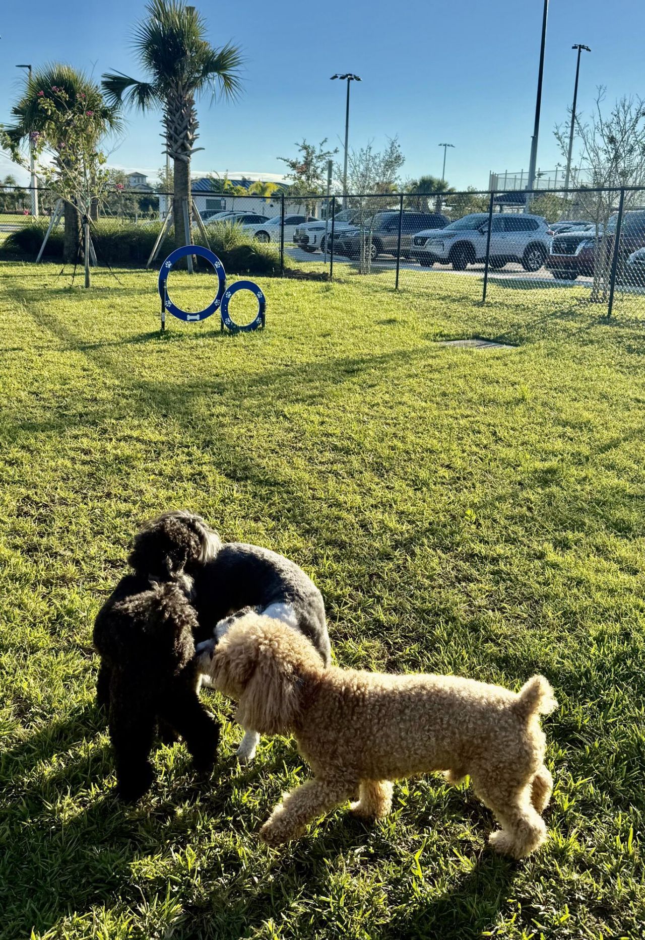 11858 SW Jasper Lake Way, Port Saint Lucie, FL 34987 Photo