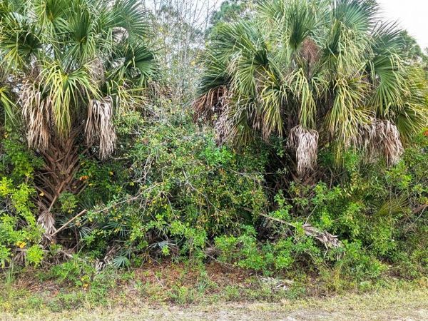 12885 86th Street, Fellsmere, FL 32948