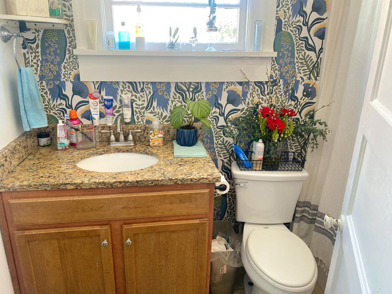 9 Gadsden Street Photo 37