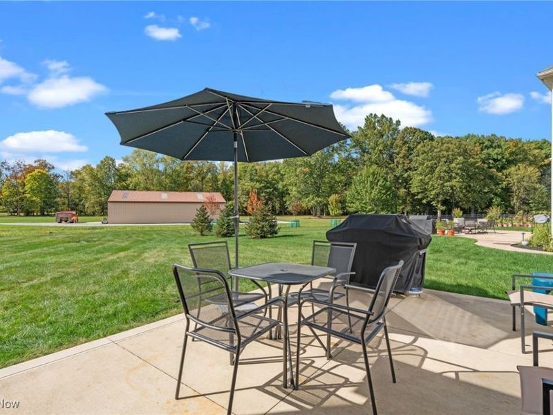 8924 Leatherleaf Drive, Columbia Station, OH 44028 Photo 19
