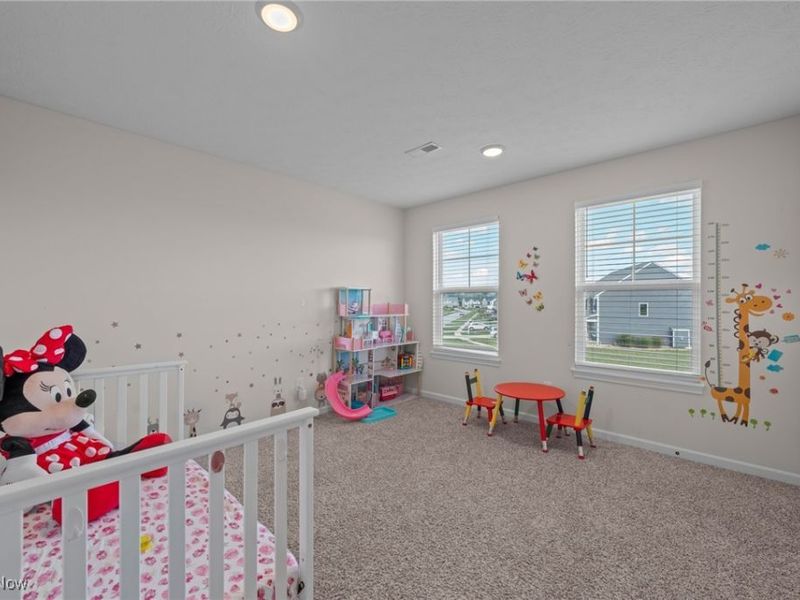 8924 Leatherleaf Drive, Columbia Station, OH 44028 Photo 35