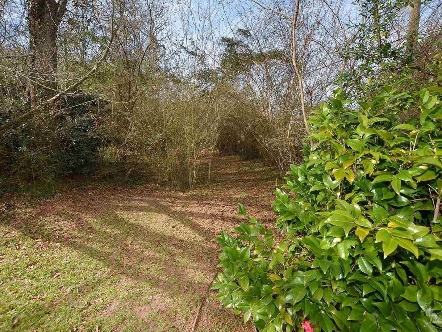 Property Image 66