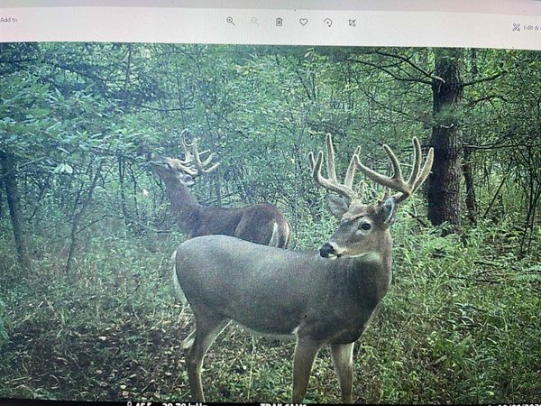 4400 N Deer Lane, Mosinee, WI 54455